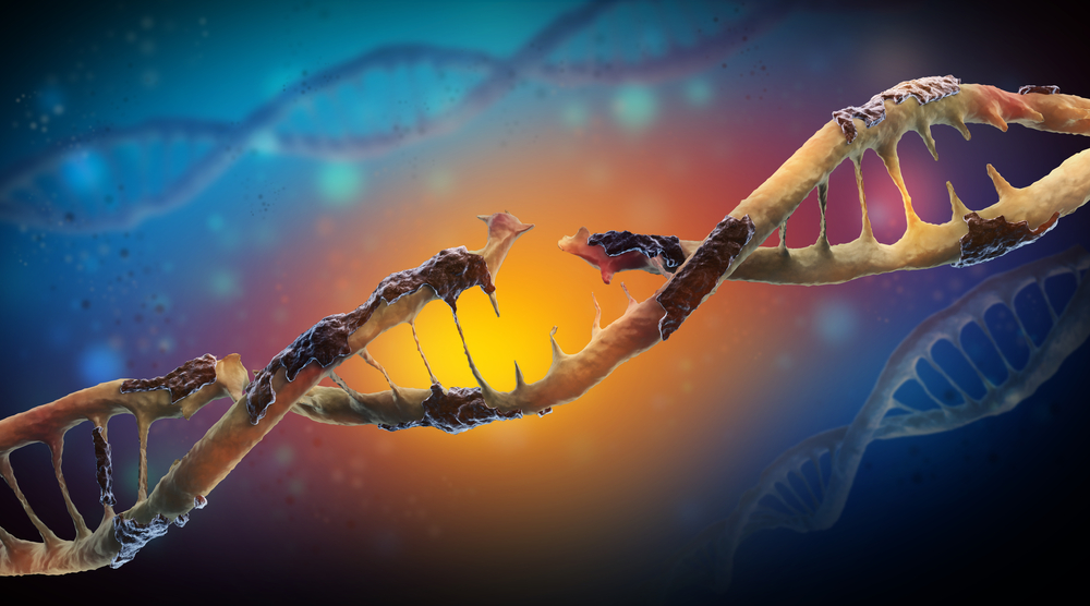 Belangrijke medicijndoelen onthuld door nieuwe genetische studie van HD