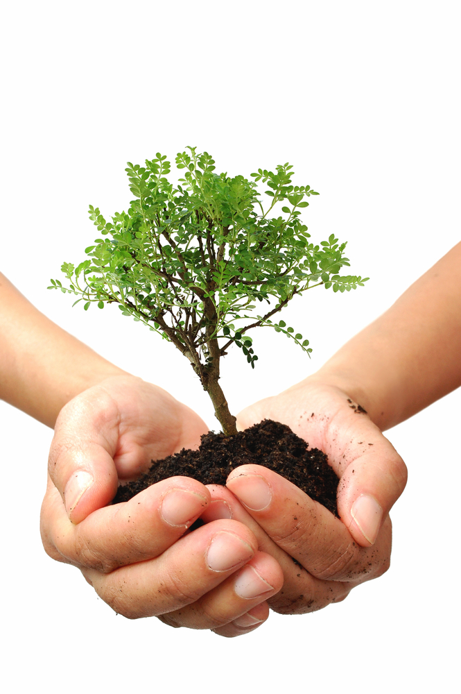 Samen bomen planten: Het 2016 Huntington’s Disease Society of America Congres