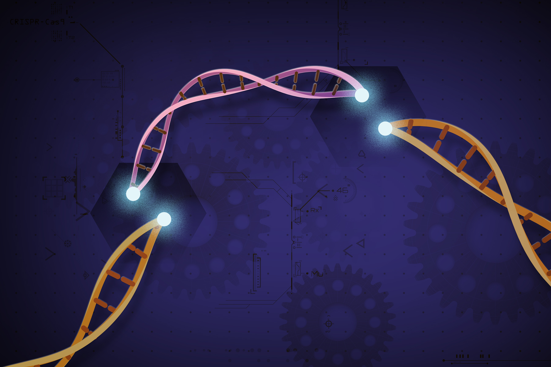 Voorzichtigheid aangeraden bij het gebruik van genbewerkingtechnologie CRISPR