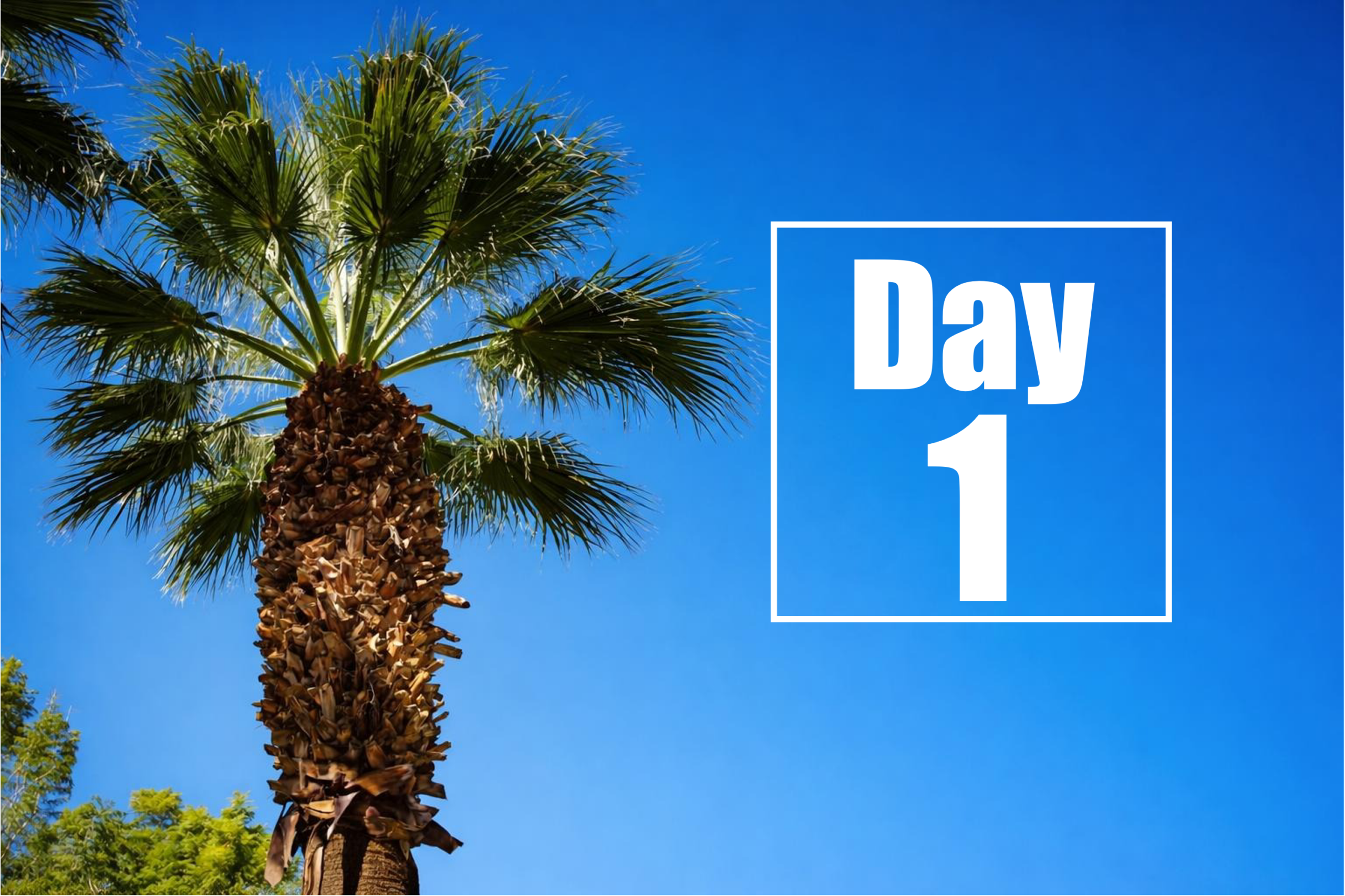 Huntington’s Disease Therapeutics Conference 2026 – Dag 1